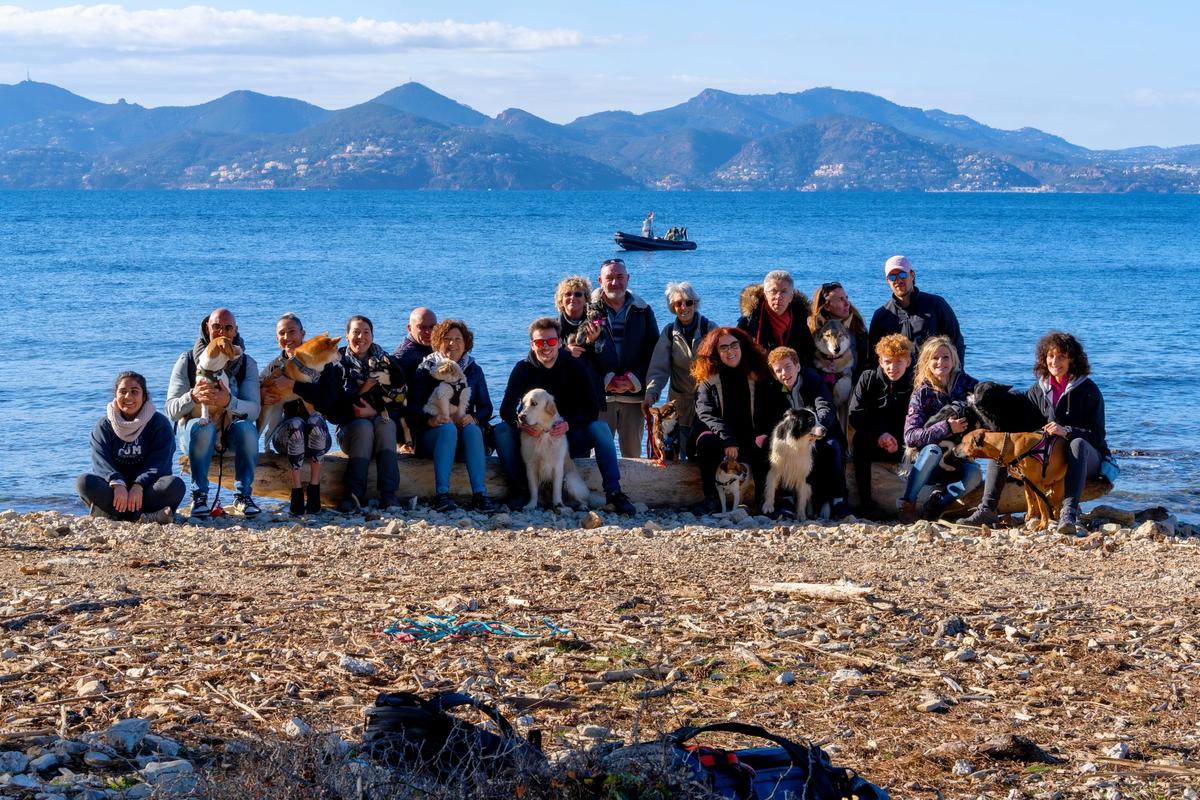 Clients Jordan Mathieu — Sortie aux Îles de Lérins avec leurs chiens — Alpes-Maritimes