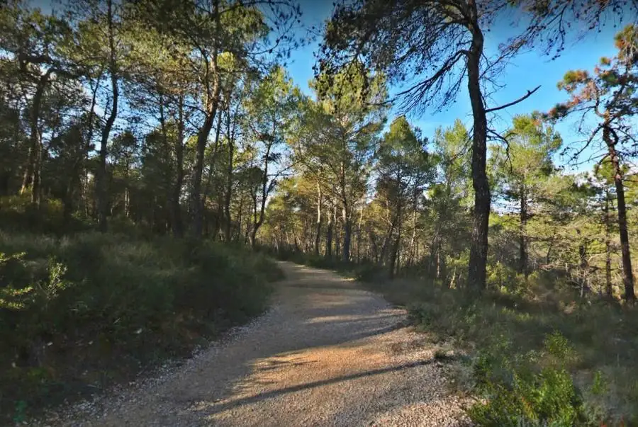 Dog park and dog area in the Alpes-Maritimes (06)